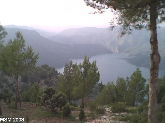EMBALSE CORTES DE ARENOSO